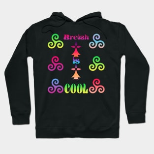 breizh is cool Hoodie